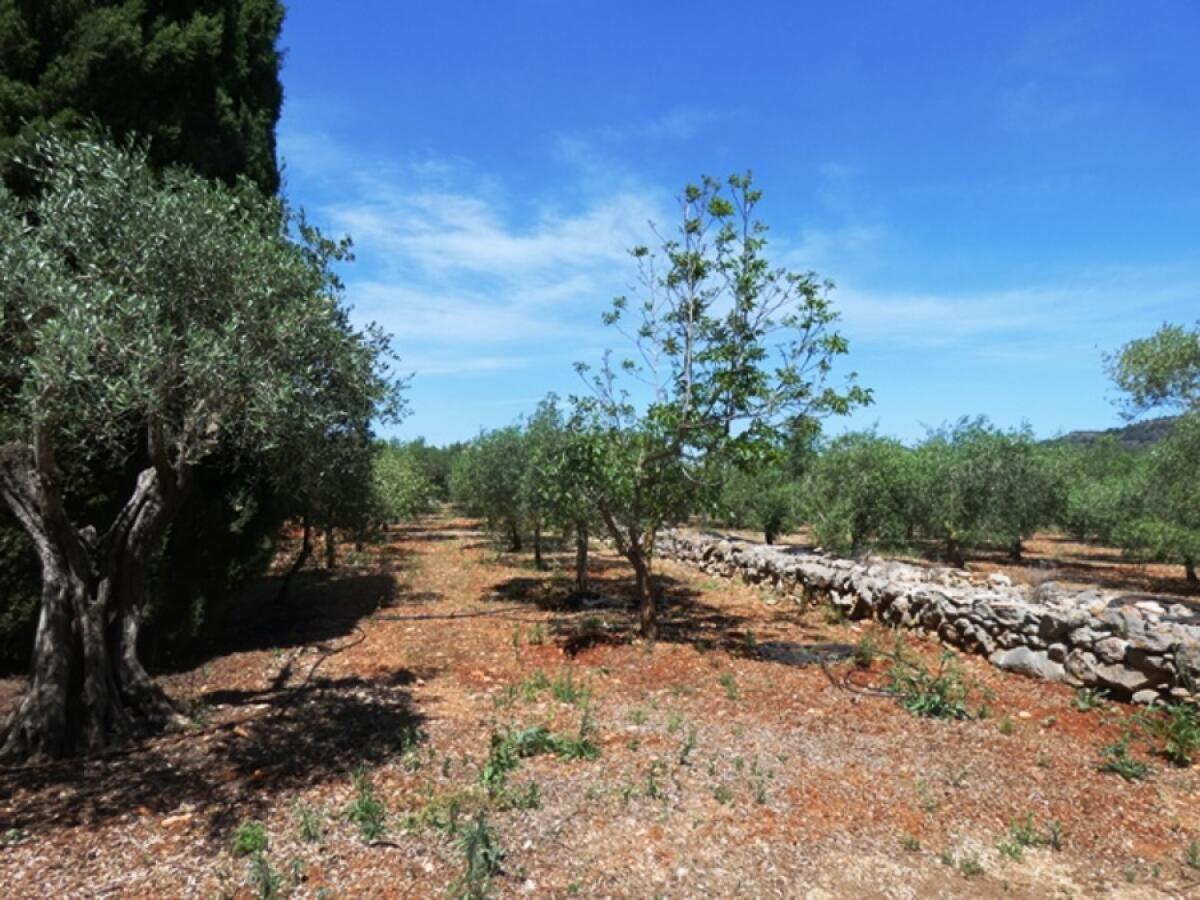 Villa 8 Bedrooms for sale in Pedreguer