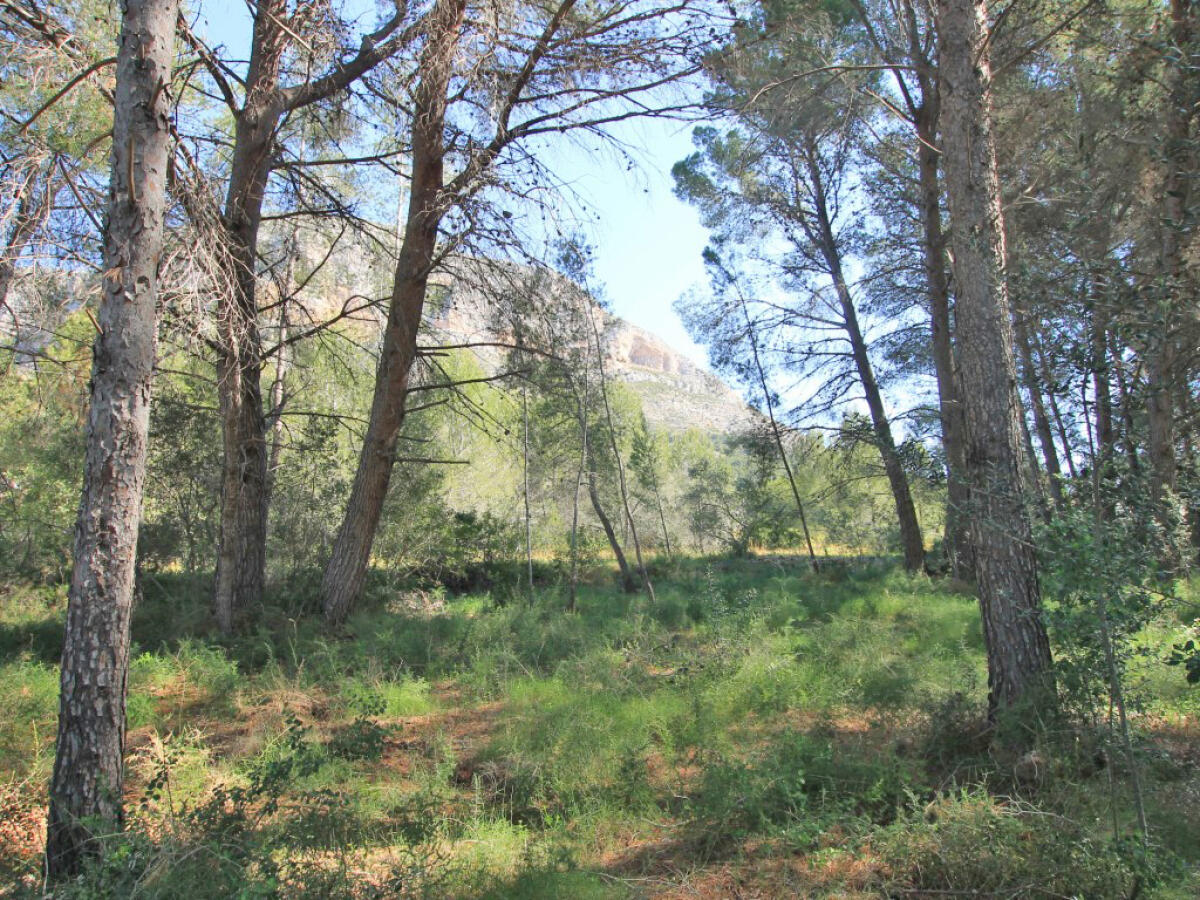 Plot for sale in Javea