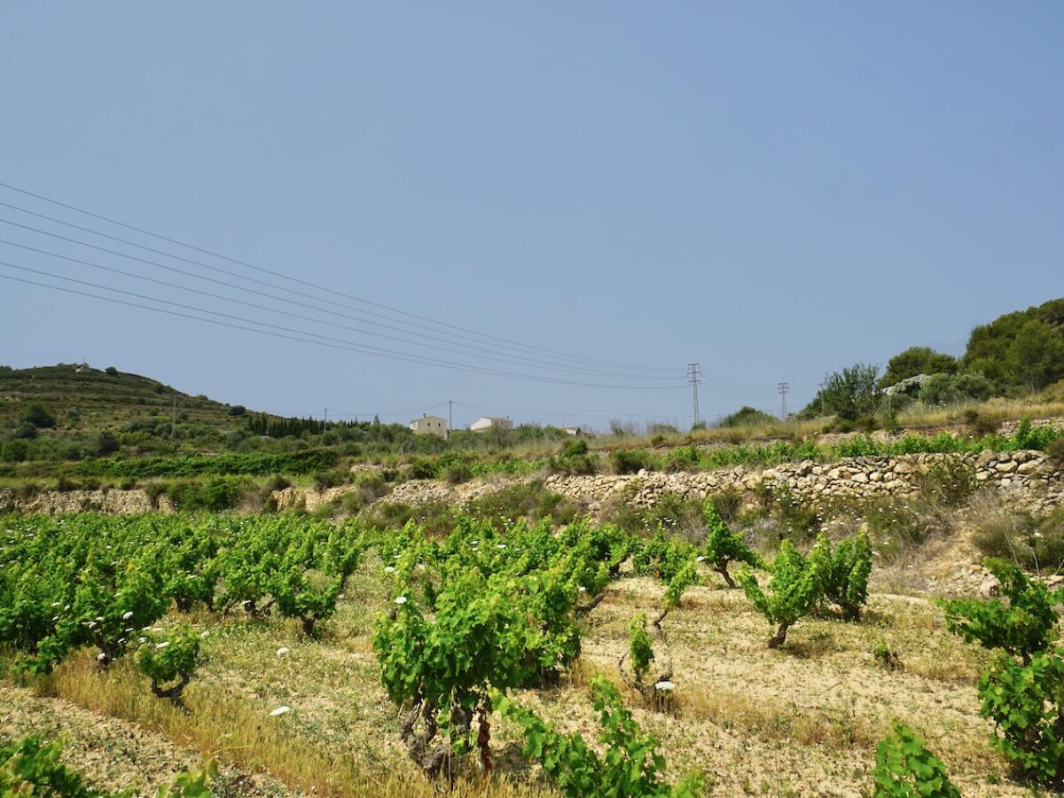 Plot for sale in Benitachell