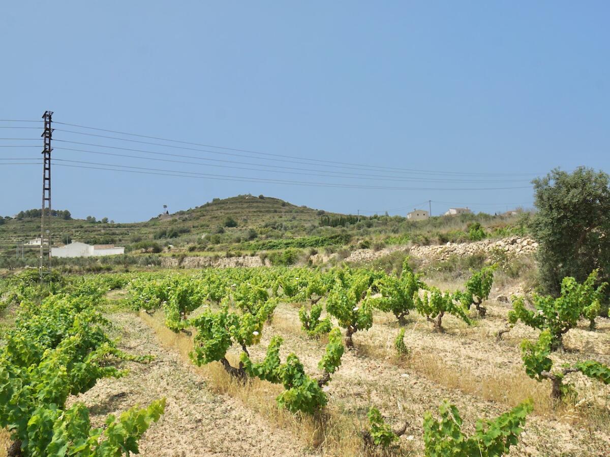 Plot for sale in Benitachell