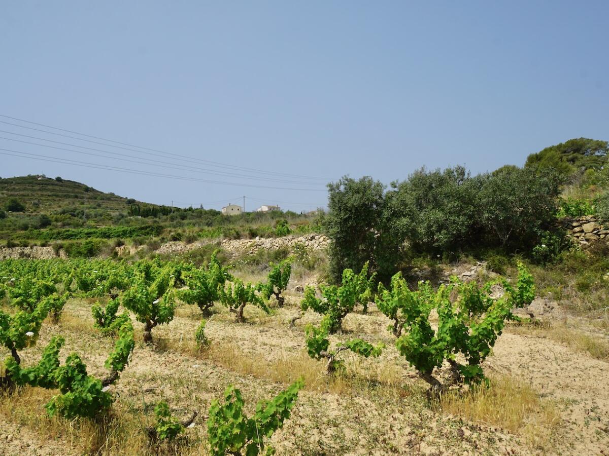 Plot for sale in Benitachell