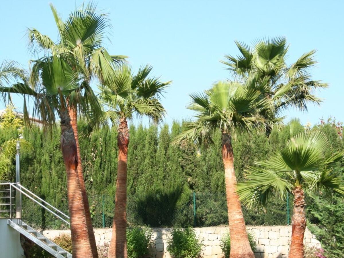 Villa 5 Bedrooms for sale in Javea