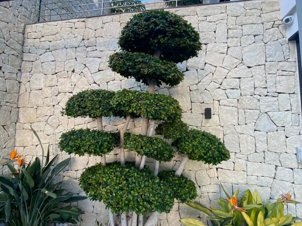 Villa 3 Bedrooms for sale in Benissa Raco de Galeno