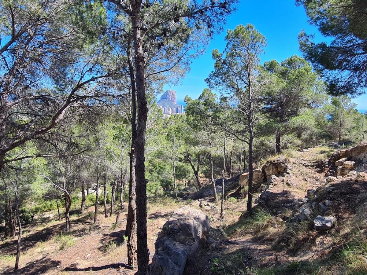 Plot for sale in Calpe Oltamar