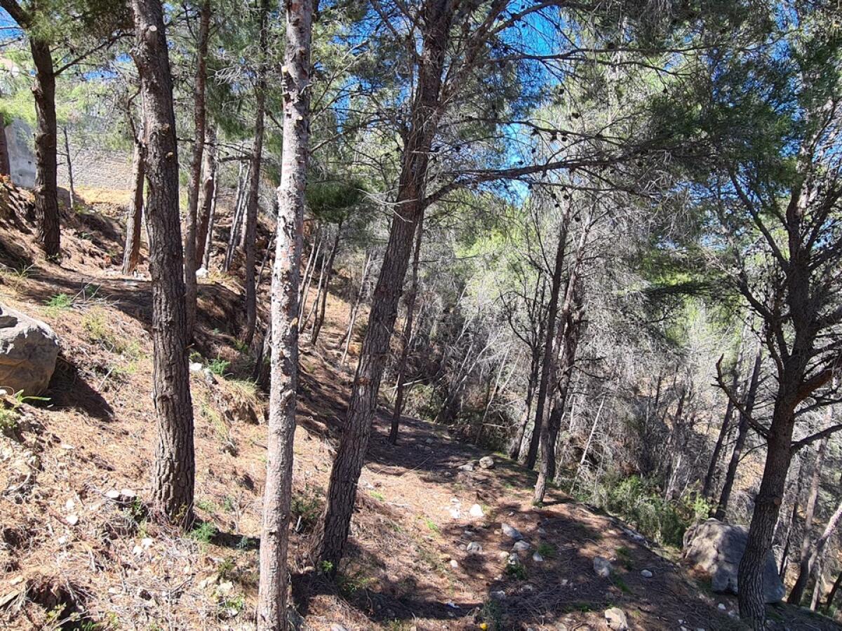 Plot for sale in Calpe Oltamar
